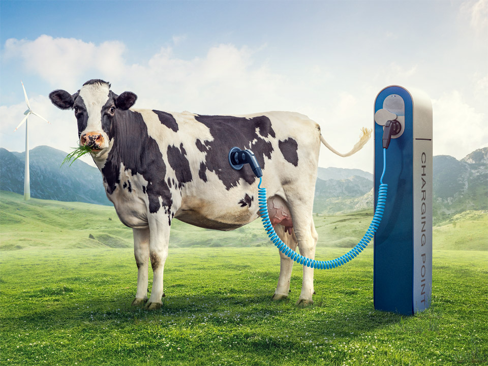 Bildmontage als Key-Visual für Nahrungs-Booster Tiere - digital art Lauktien and Friends